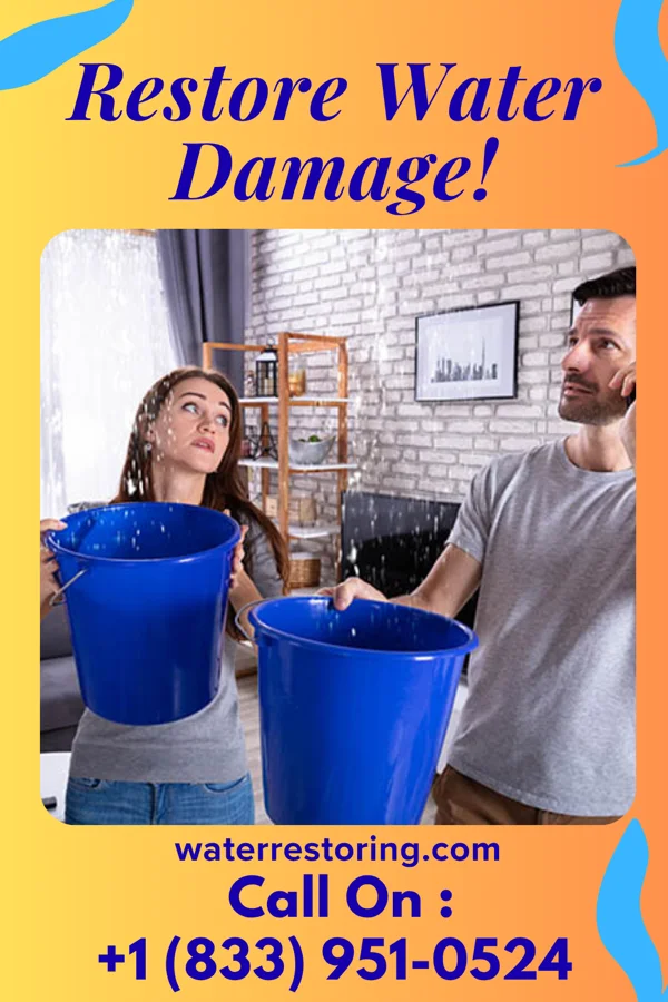 water restoration Falcon Restoration Force Plainwell