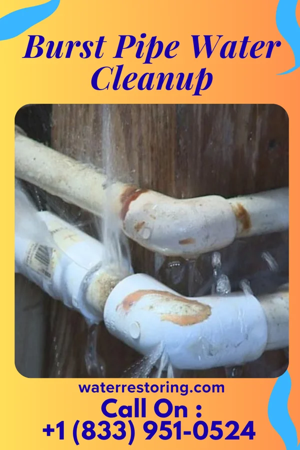 Burst Pipe Water Cleanup in Plainwell, MI