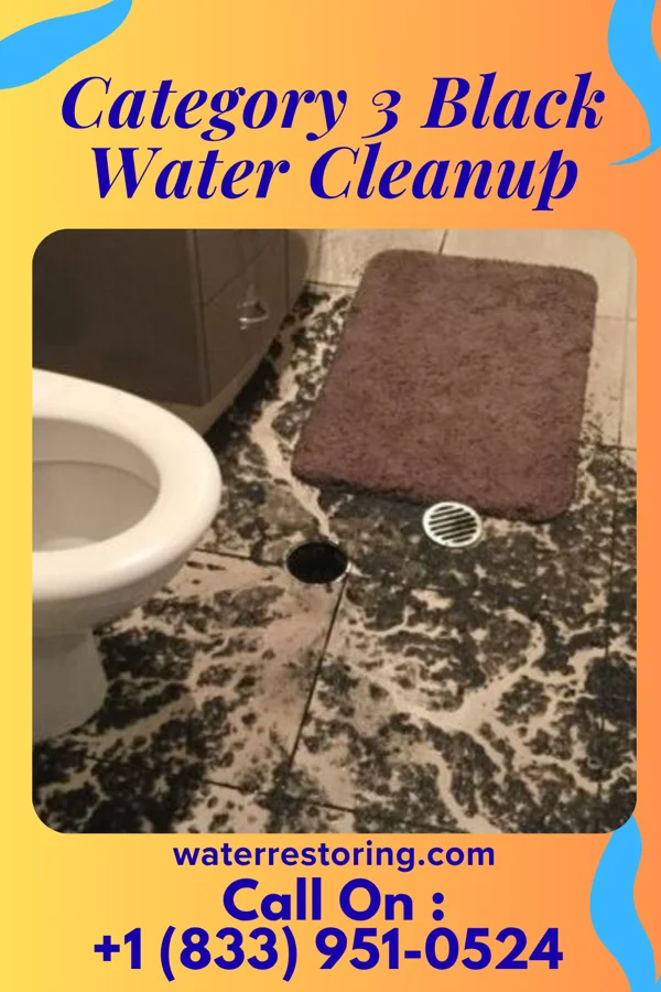 Category 3 Black Water Cleanup in Plainwell, MI