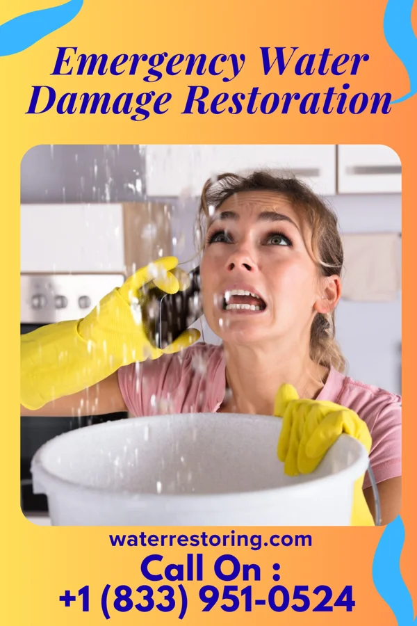 Emergency Water Damage Restoration in Plainwell, MI