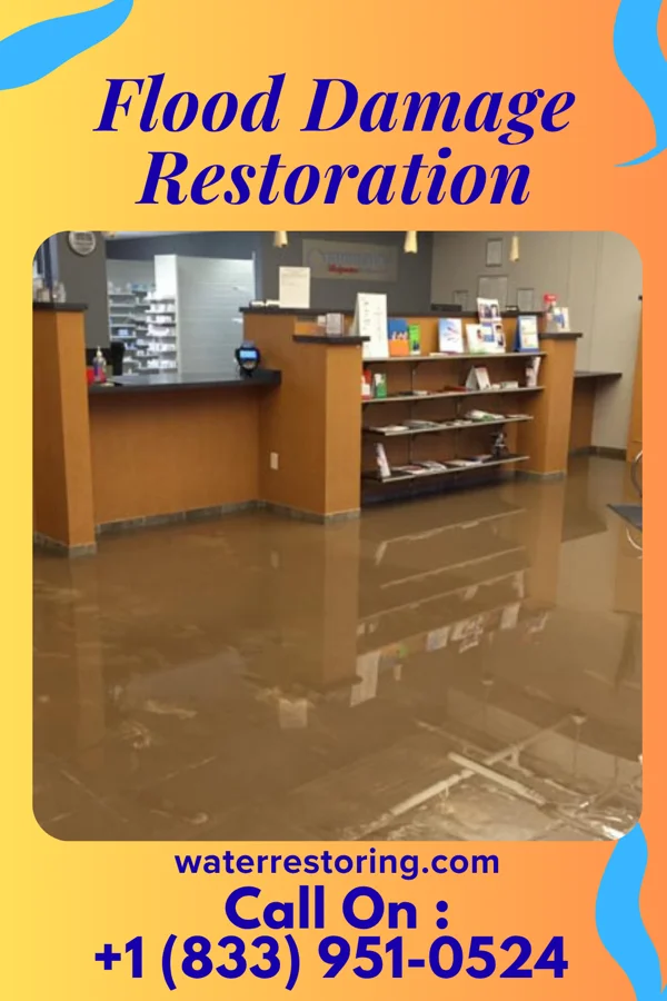 Flood Damage Restoration in Plainwell, MI