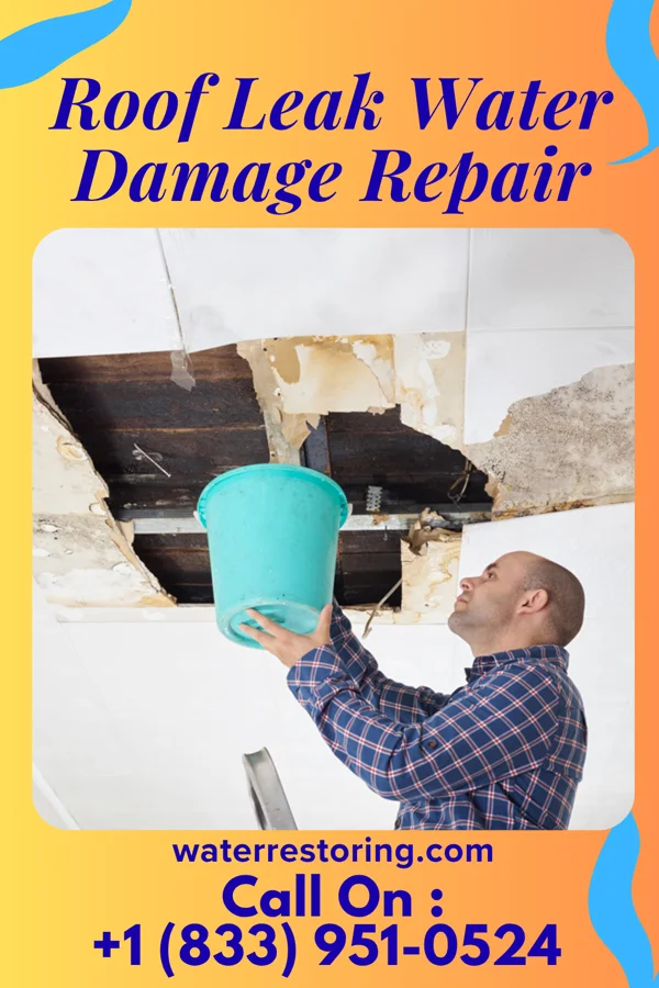Roof Leak Water Damage Repair in Plainwell, MI