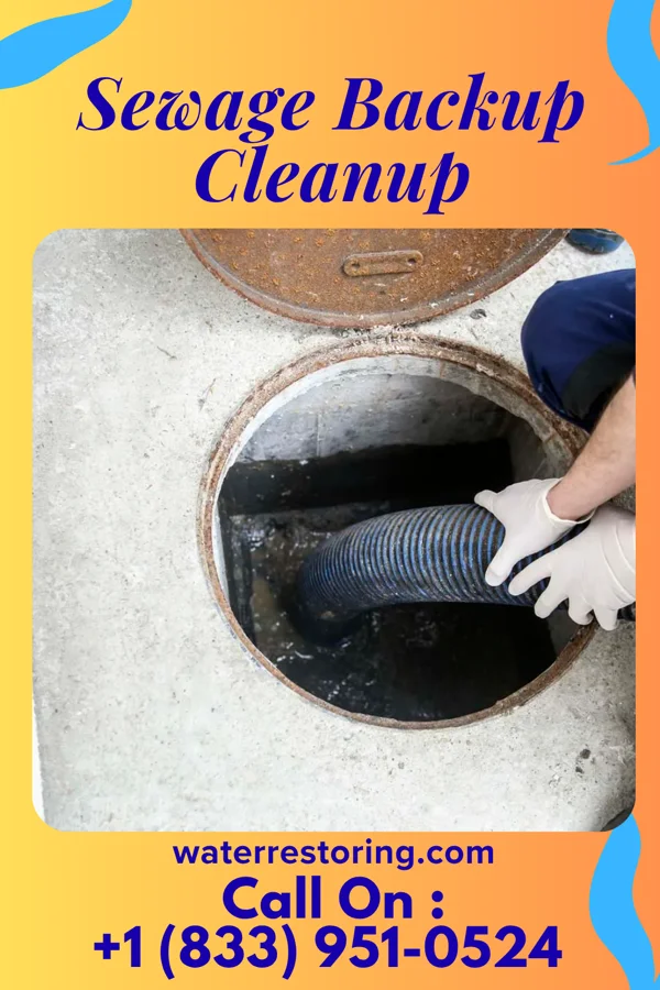 Sewage Backup Cleanup in Plainwell, MI